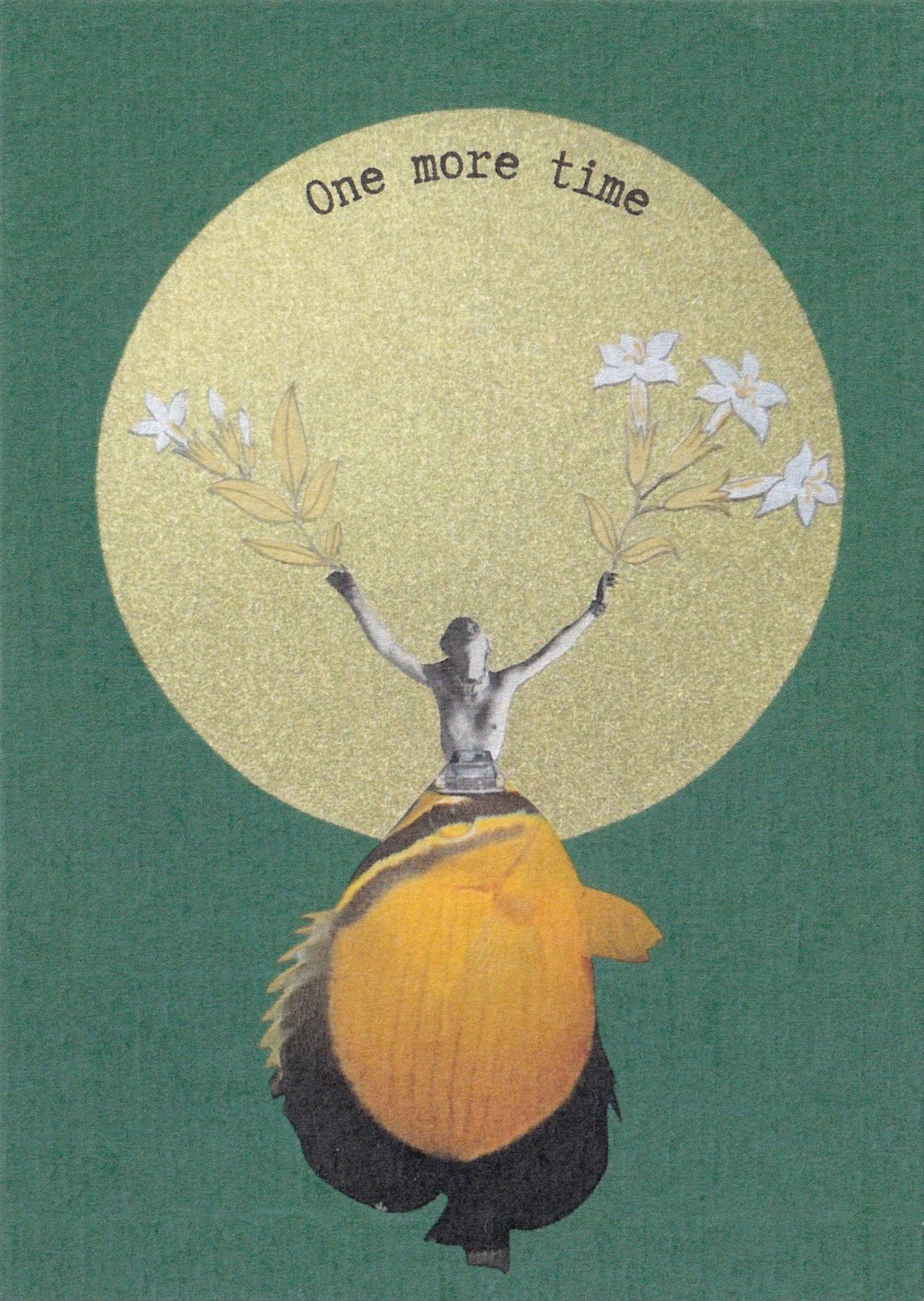 Compilation "A day in the life"