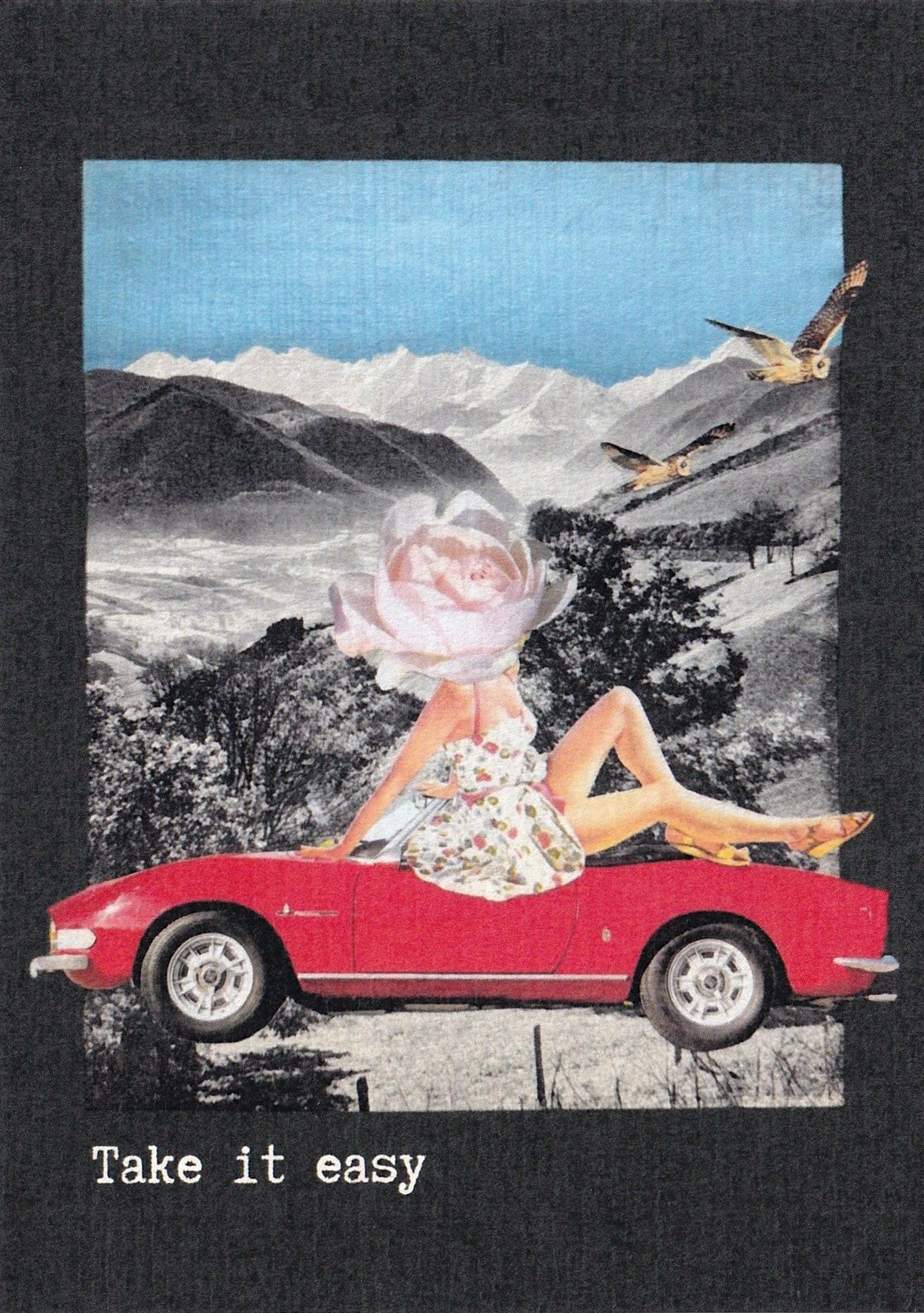 Compilation "A day in the life"