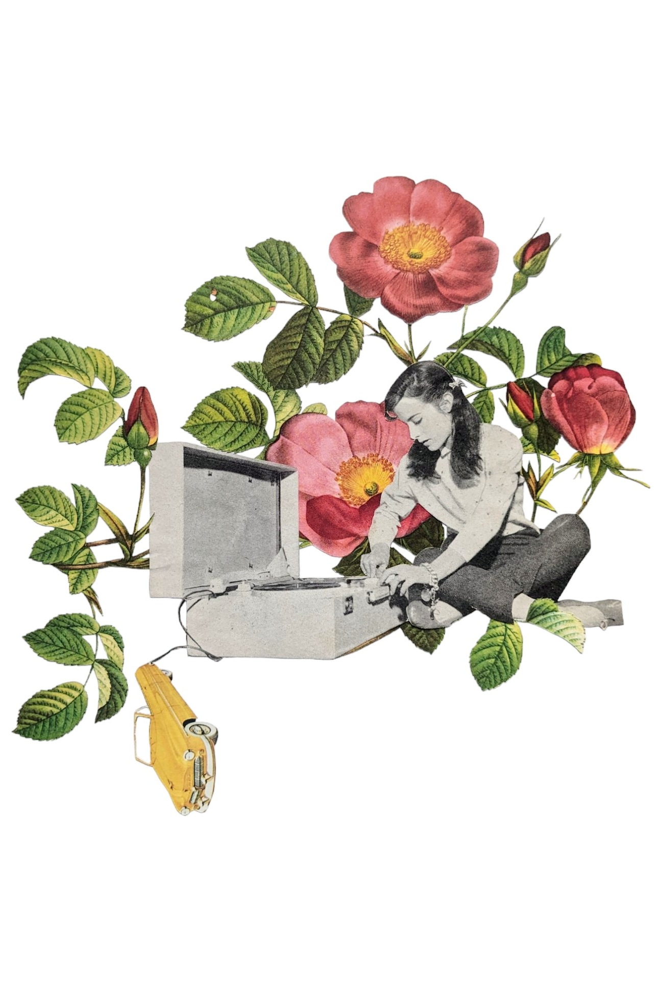 Carte postale Comme dans un vieux rock'n'roll