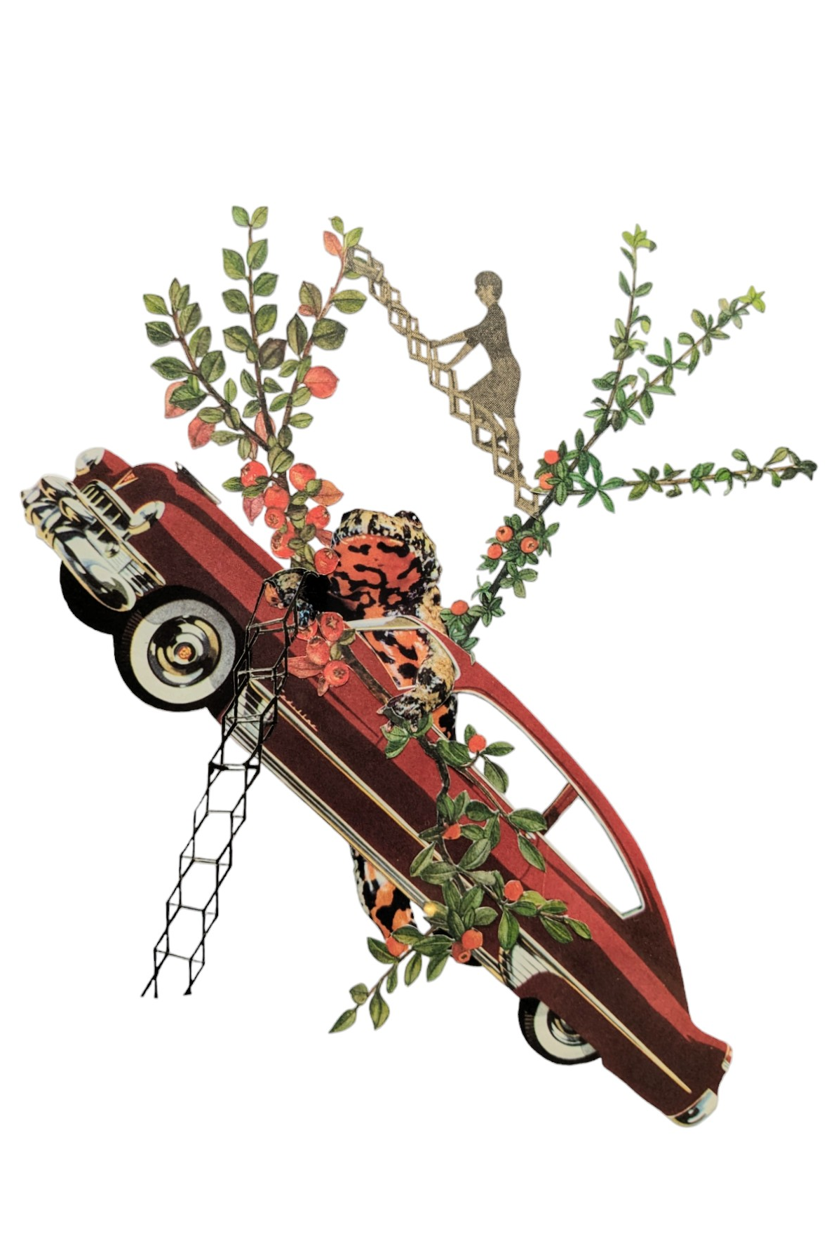 Carte postale Elle est d'ailleurs