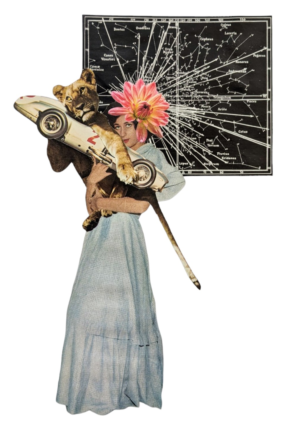 Carte postale Follow you follow me