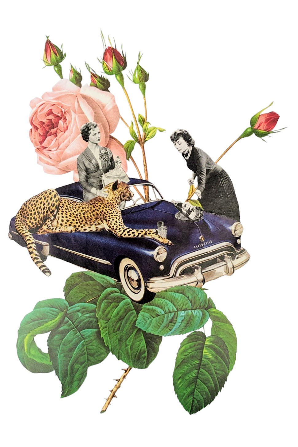 Carte postale Madame