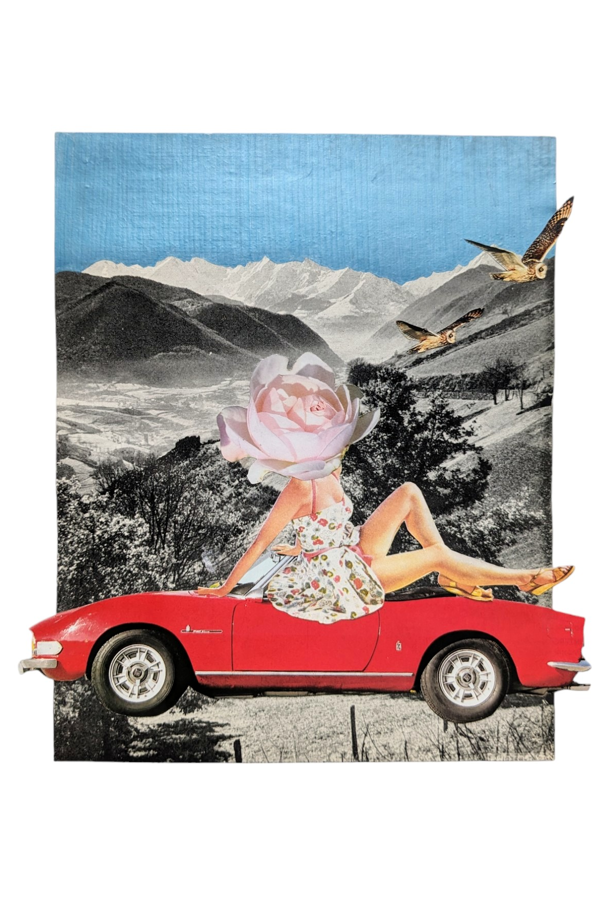 Carte postale Sweet Caroline