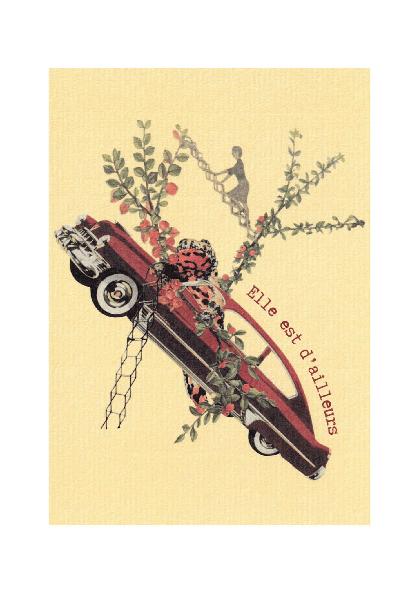 Carte postale "Elle est d'ailleurs"