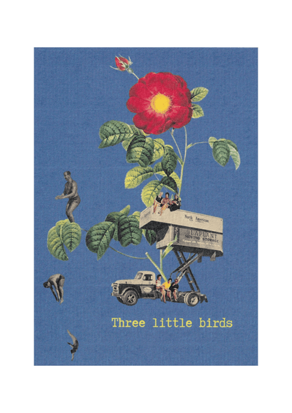 Carte postale "Three little birds"
