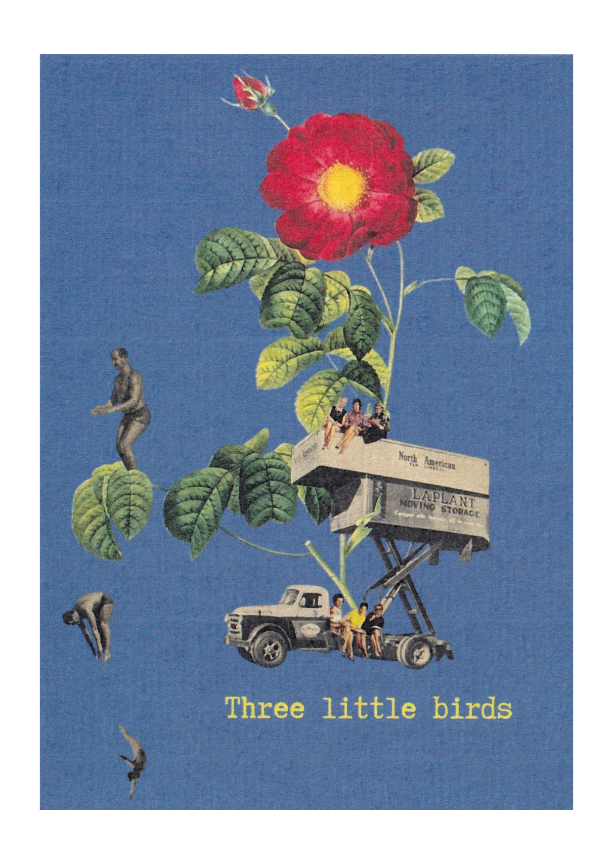 Carte "Three little birds"