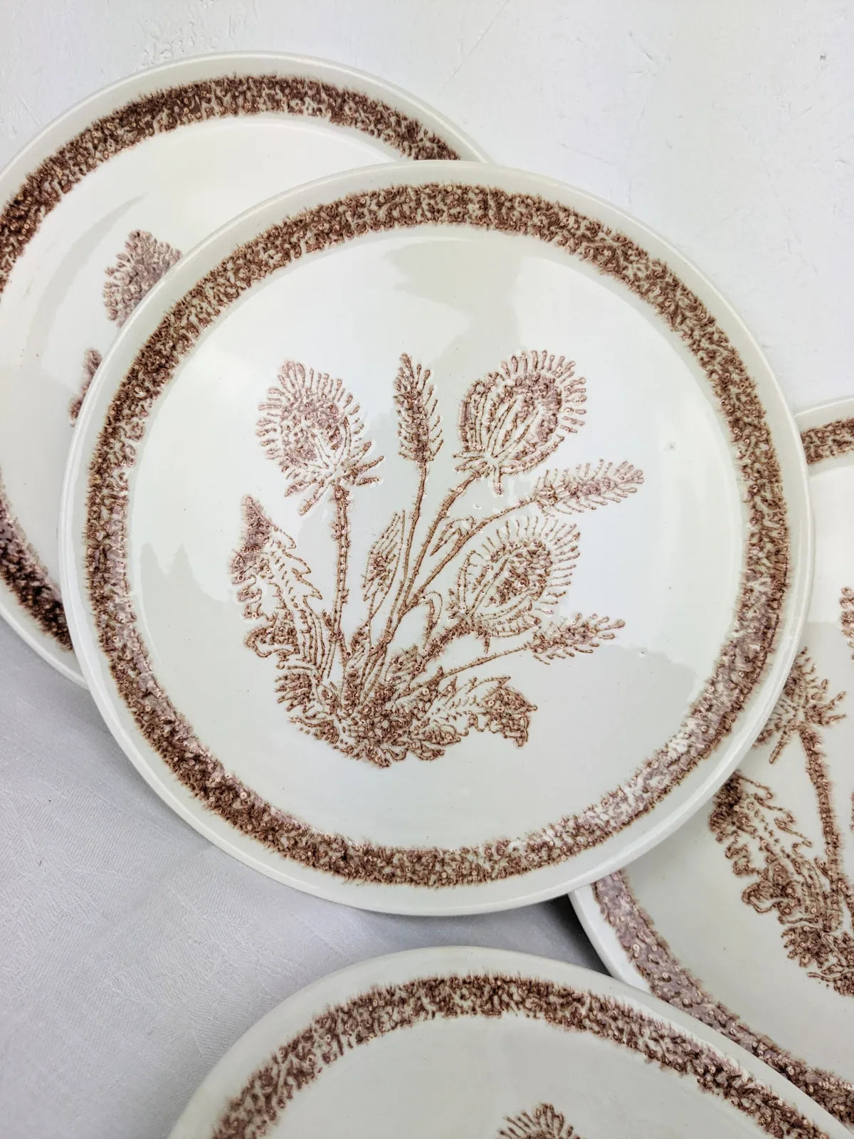 Détail d’une assiette vintage en faïence avec illustration botanique de chardons bruns